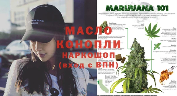 spice Алзамай