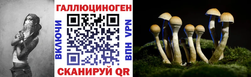 где купить наркоту  блэк спрут как зайти  Псилоцибиновые грибы Psilocybe  Старая Русса 